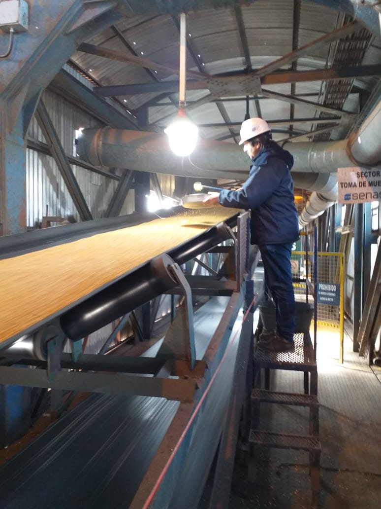 Cargo inspection on the conveyor