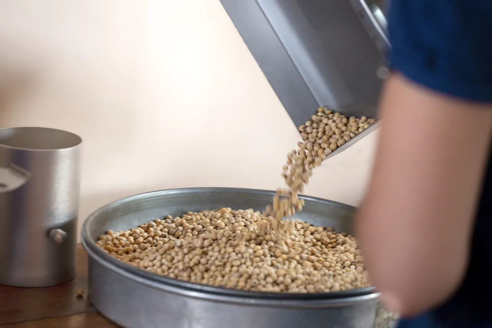 Soybean sample poured into a metal tray for observation and analysis